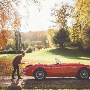 Cartis - Austin Healey 100/6