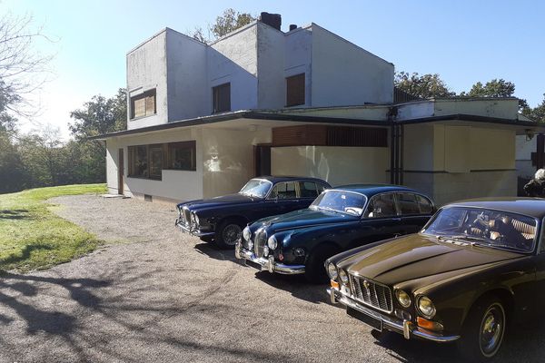 Luxurious experience Jaguars Cartis